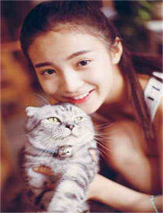 《爱没有错电视剧36集免费观看-生活大爆炸 第一季》